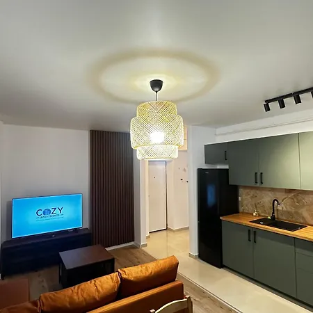 Deluxe Cozy - Address Apartmán Bukurešť